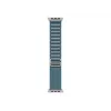 Band Apple MFTH4ZM/A Smartwatch-Zubehör Blue Titanium