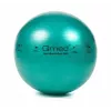 ABS-Rehabilitationsball mit Pumpe, 65 cm