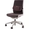 Stuhlrückenstütze PlushTouch/Lumbar 8026501 FELLOWES