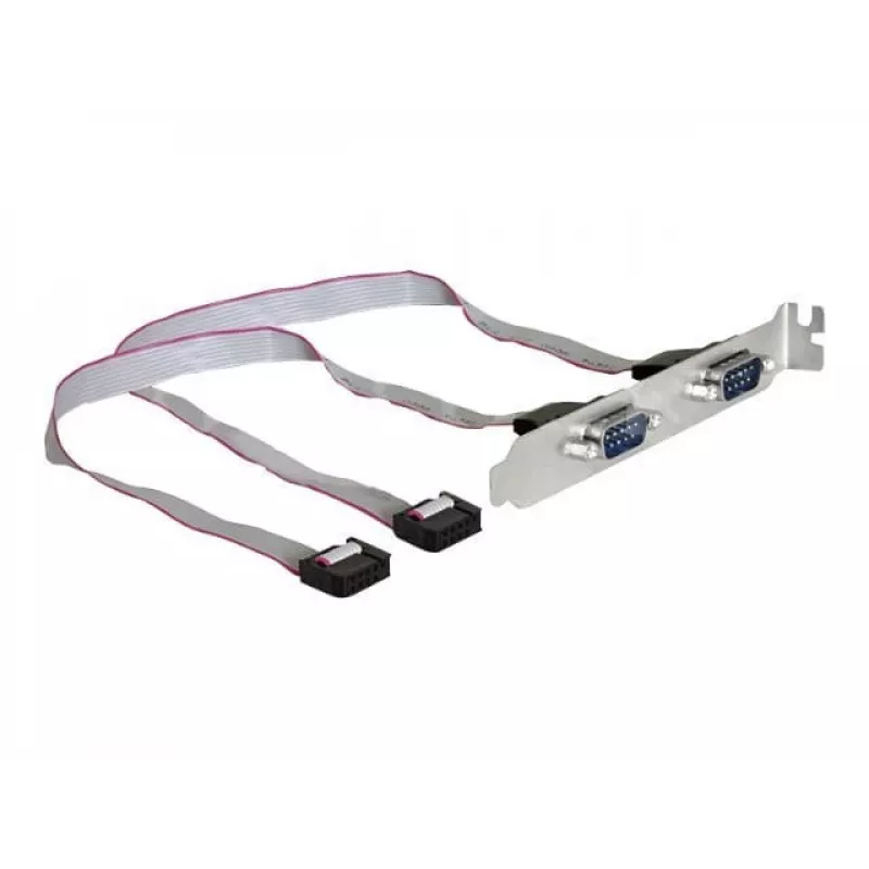 Delock Slot-Bracket, 2 x Serieller Anschluss (DB9 Stecker), 40 cm