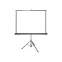 Projektionsleinwand Grandview GV103004 Manuell 1:1