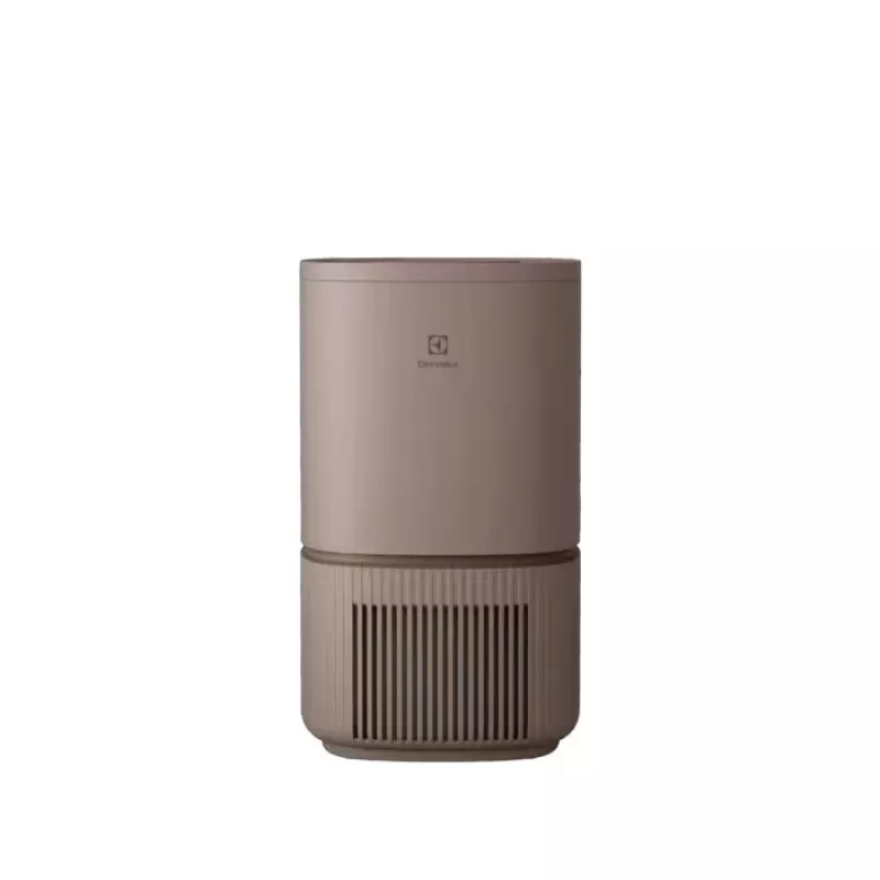 Luftreiniger Electrolux Pure 500 EPO50351BG — Raumluftreiniger mit HEPA-Filtration (Modell EPO50351BG)