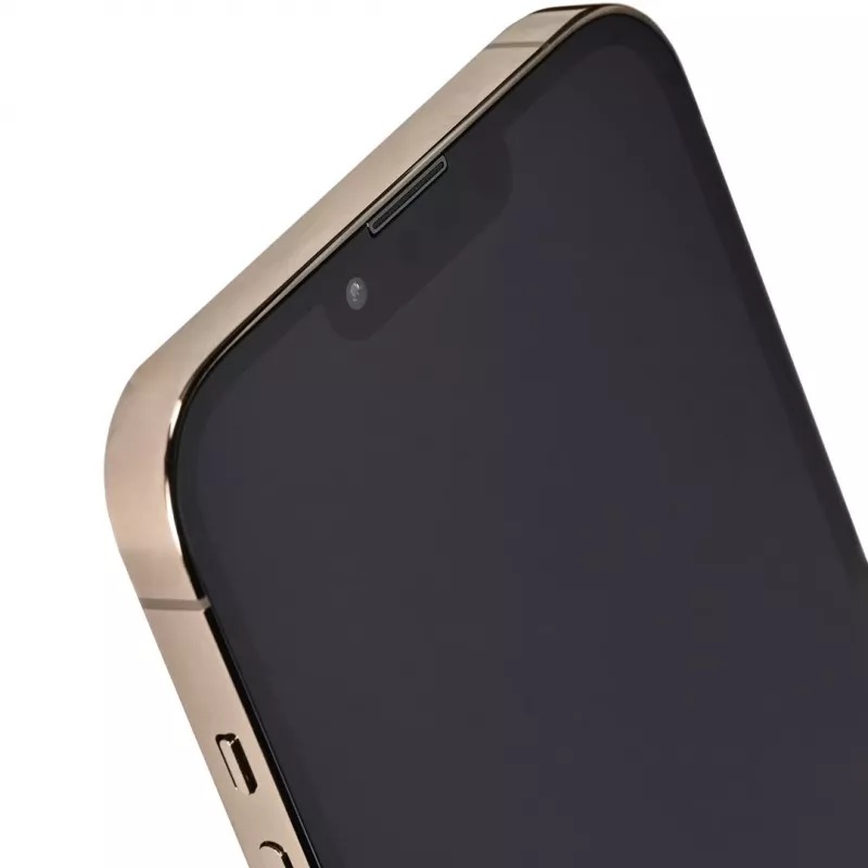 Apple iPhone 13 Pro Max 6,7 Dual SIM iOS 15 5G 256 GB Gold Generalüberholt / wiederaufbereitet