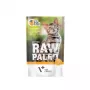 VetExpert Raw Paleo Kitten Cat Nassfutter für Kitten mit Truthahn, 100 g