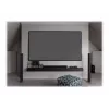 Elite Screens Aeon CineGrey 3D Series AR100DHD3 – Leinwand – geeignet für Wandmontage – 254 cm (100)