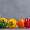 PNOS Paprika-Saatgutmischung, 0,6 g