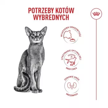 Trockenfutter für Katzen Royal Canin Exigent Fussy 2 kg — Trockenkroketten für wählerische ausgewachsene Katzen, Geflügelgeschmack, 40% Protein