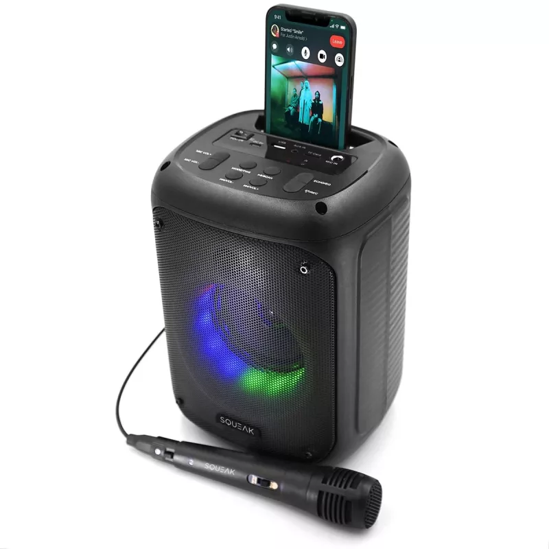 SQUEAK KARAOKE-LAUTSPRECHER BEATFLOW BT 5.0 + EDR SQ1005
