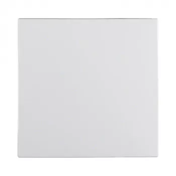 Berker 1620 19 09 Wippe PWS