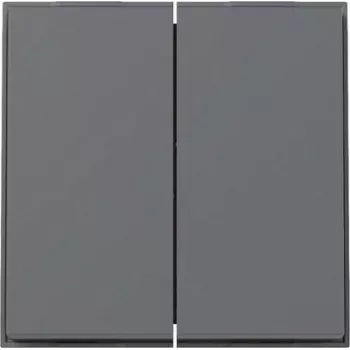 GIRA Wippe 2f TX_44 WG UP 329567 Anthrazit (329567)