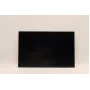 Lenovo 5D10V82406 16,0 Zoll LCD-Display (AUO B160UAN03.2)