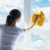 Frischer Glasreiniger mit Antibeschlagfunktion 1 l