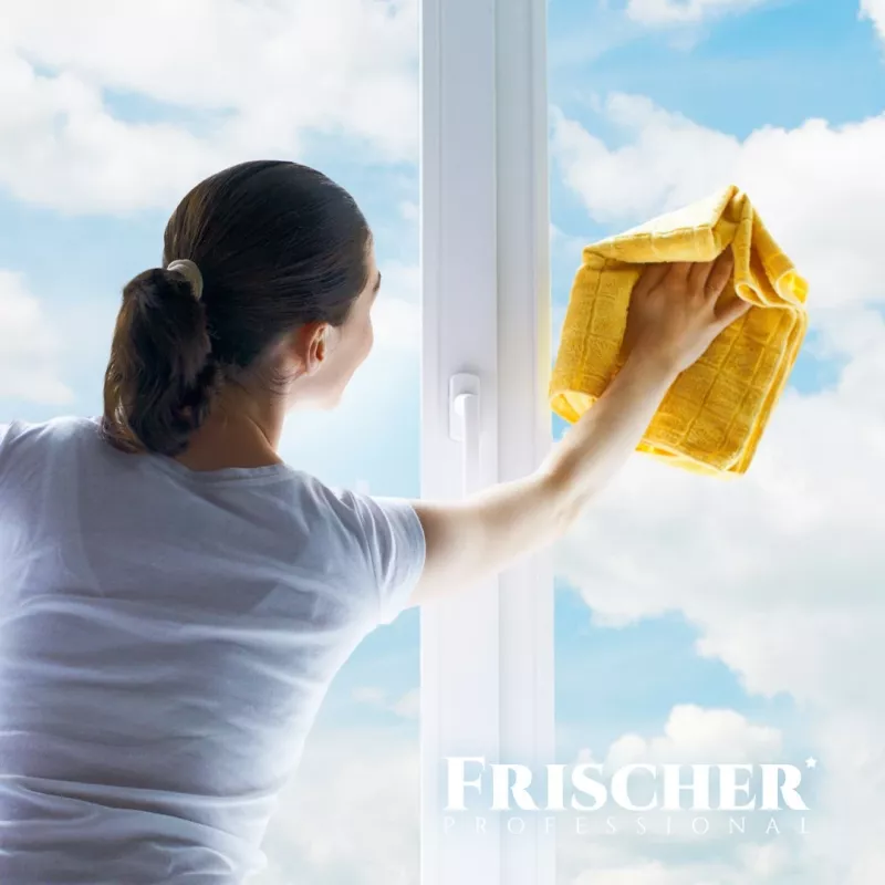 Frischer Glasreiniger mit Antibeschlagfunktion 1 l