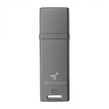 DataLocker 64GB DL GO 256BIT - Flash-Memory - bunt (DLGO-064)
