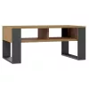 Couchtisch top e shop Modern 90×58×50 cm, anthrazitfarbener Rahmen, Regalböden in Eiche Artisan matt