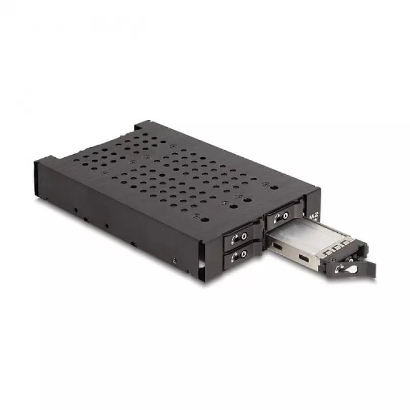 HDD-Käfig DeLOCK 47072 Rack Kompatibel Metall 100 mm Breite