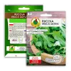 PNOS Rucola Eruca sativa Saatgut auf Band, 6 m