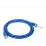 Alantec KKU5NIE1 Netzwerkkabel Blau 1 m Cat5e U/UTP (UTP)
