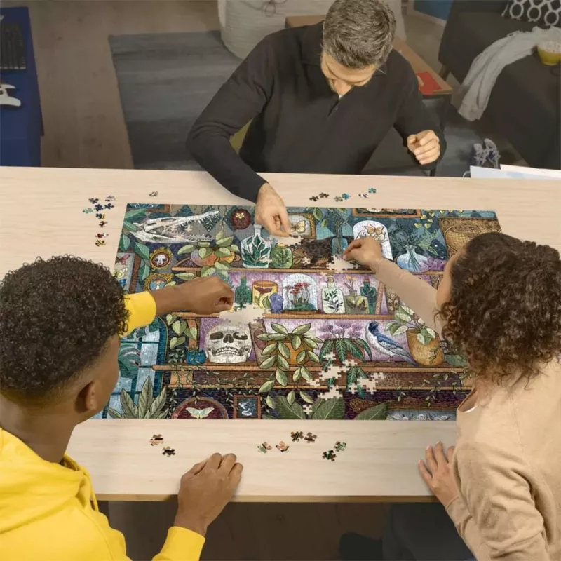 Puzzle Ravensburger A Witch's Favorite Things — 2000 Teile