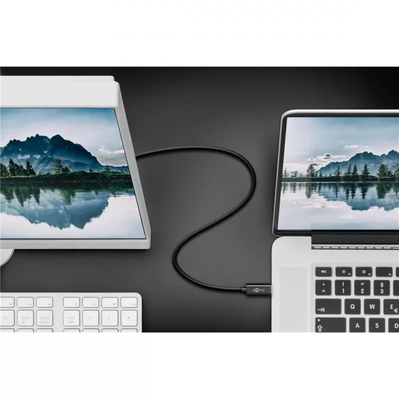 Goobay USB-C auf DisplayPort. M/M. Schwarz