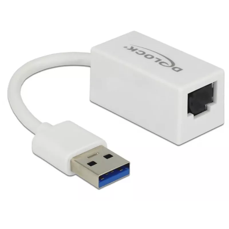 DeLOCK 65905 USB Type-A auf Gigabit LAN Netzwerkadapter, Weiß