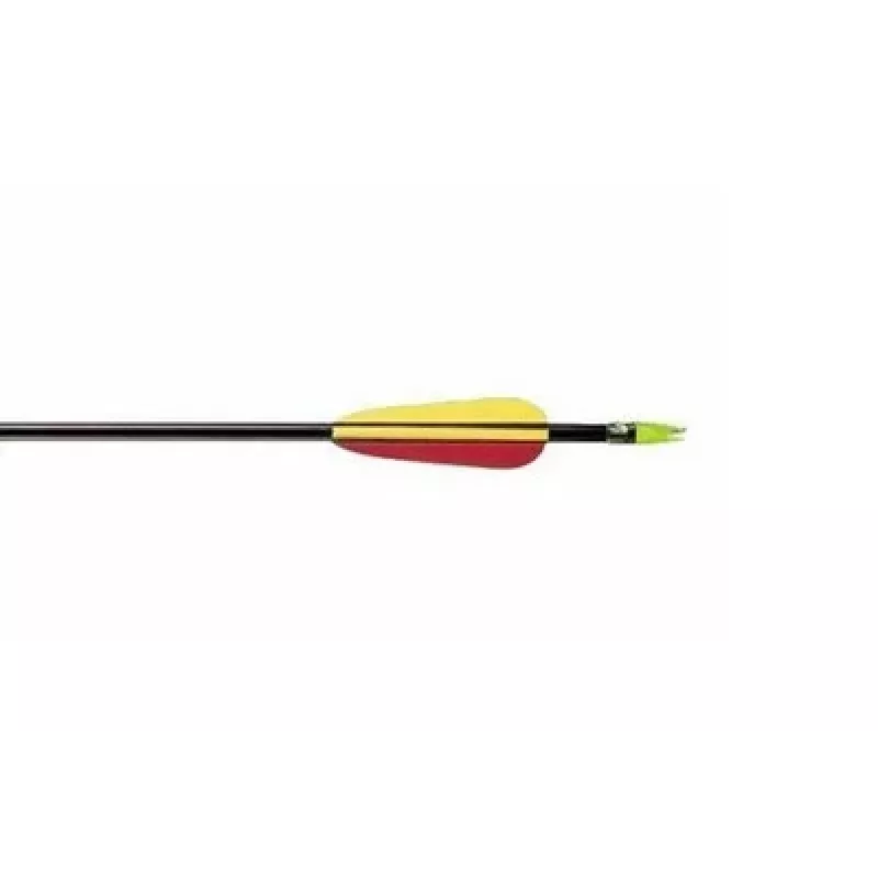 Arrow POE LANG VD-065K 30 Zoll (762 mm) Glasfaserschaft, grün, einzeln, für Zielscheibe und Training