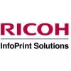 Ricoh 413013 Drucker-Kit