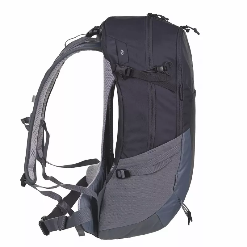 Backpack Deuter Futura 21 L Grau