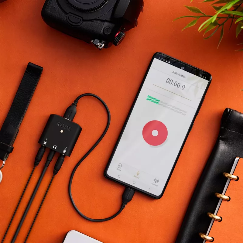 Rode SC22 USB-C-auf-USB-C-Kabel, 30cm (SC22)