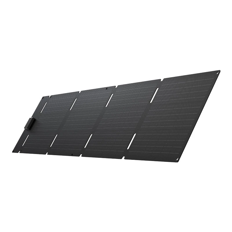 Tragbares faltbares Solarpanel EcoFlow 60W (USB-C)
