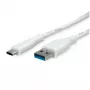 ROTRONIC-SECOMP VALUE - USB-Kabel - USB Typ A (M) auf USB-C (M)