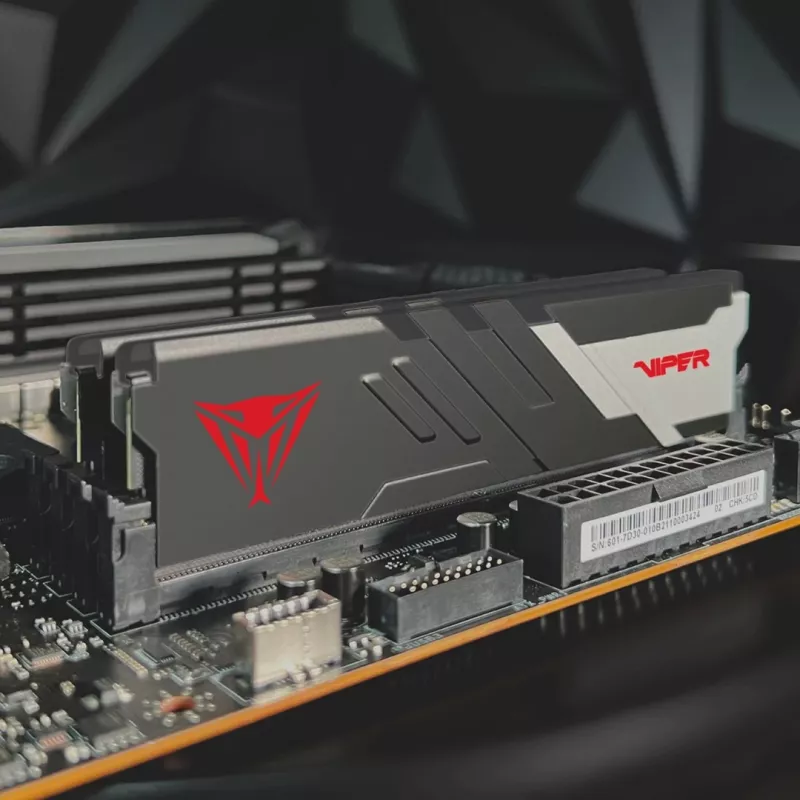 Patriot Viper Venom 16 GB DDR5-6000 CL30 Speichermodul (PVV516G60C30)