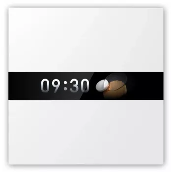 AQARA Display Switch V1 (WS-K02D) - Zigbee-Schalter mit Display