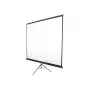 Tragbare Projektionsleinwand Elite Screens T120NWV1 3,05 m 4:3