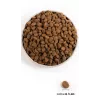 ORIJEN Regional Rot - Trockenfutter für Hunde - 6 kg