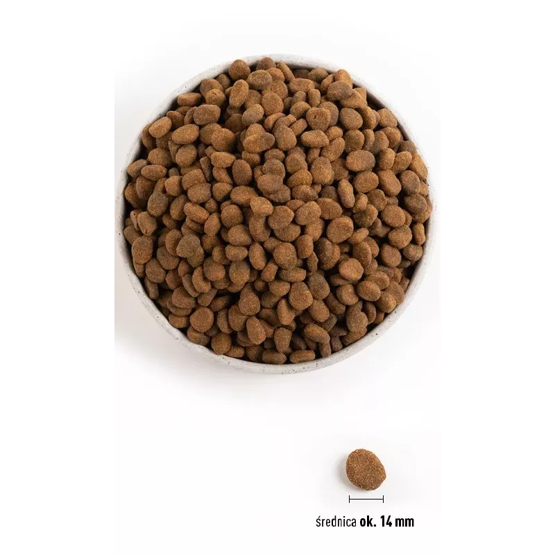 ORIJEN Regional Rot - Trockenfutter für Hunde - 6 kg
