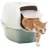Rotho Bailey Katzentoilette mit Haube, grün/weiß