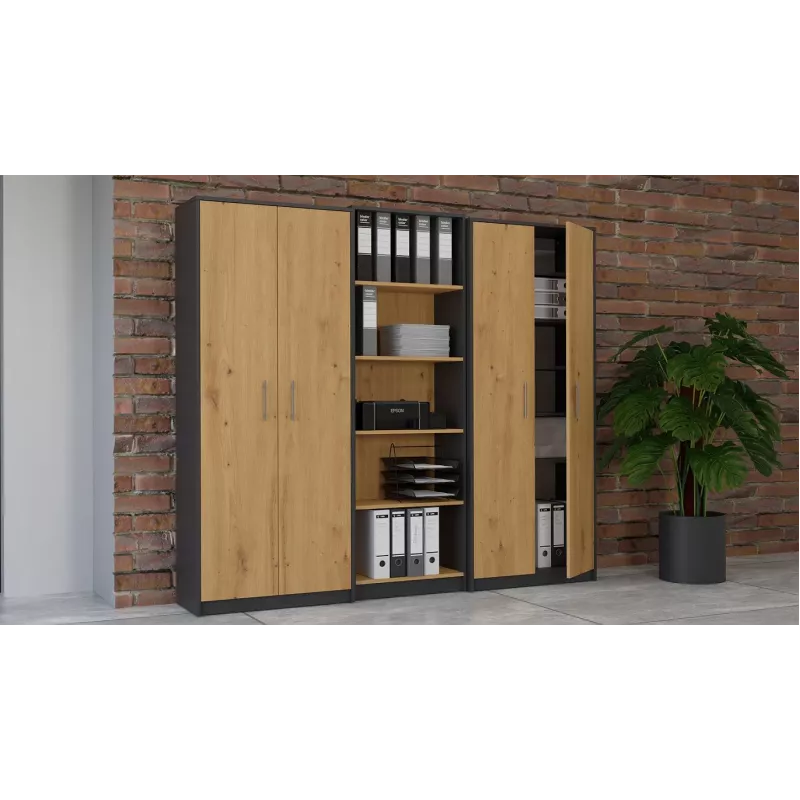 Topeshop OLIV 2D ANT/ART KPL Bücherregal