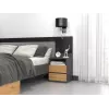 Top E Shop M1 ANTRACYT/ARTISAN Nachttisch, 2 Schubladen, Eiche