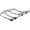 Delock Slot-Bracket, 2 x Serieller Anschluss (DB9 Stecker), 40 cm