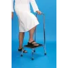 Stufe mit Handlauf - Badestufe