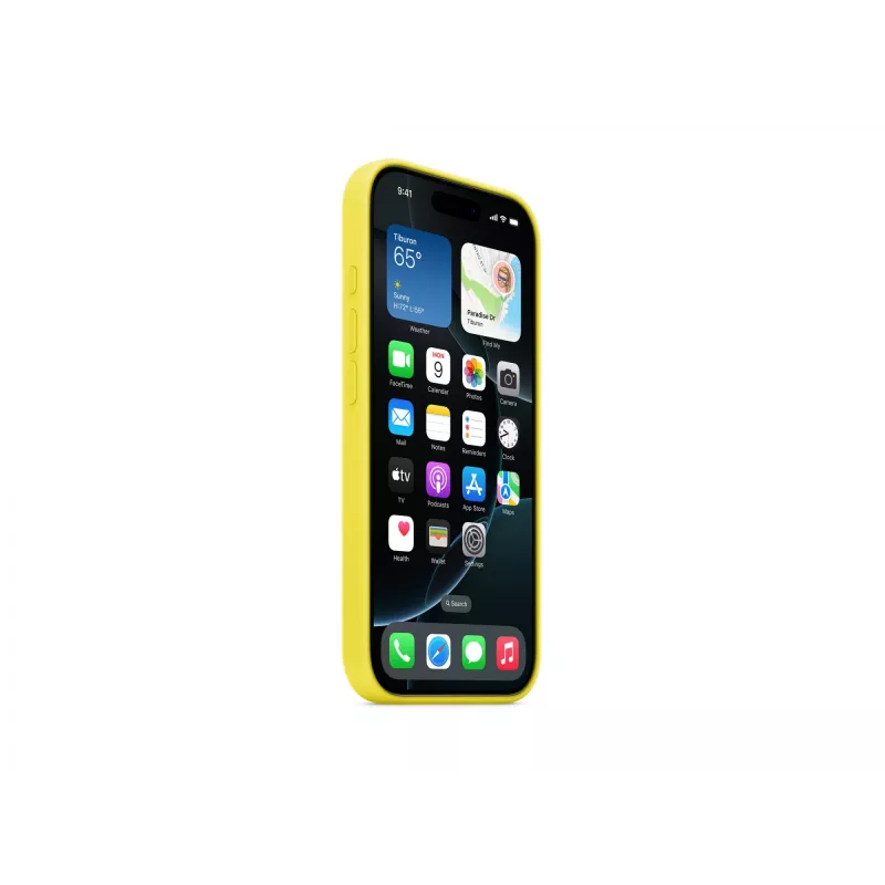 Silikonhülle mit MagSafe für iPhone 16 Pro - Sternfrucht