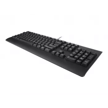 Lenovo Preferred Pro II USB QWERTY Tastatur