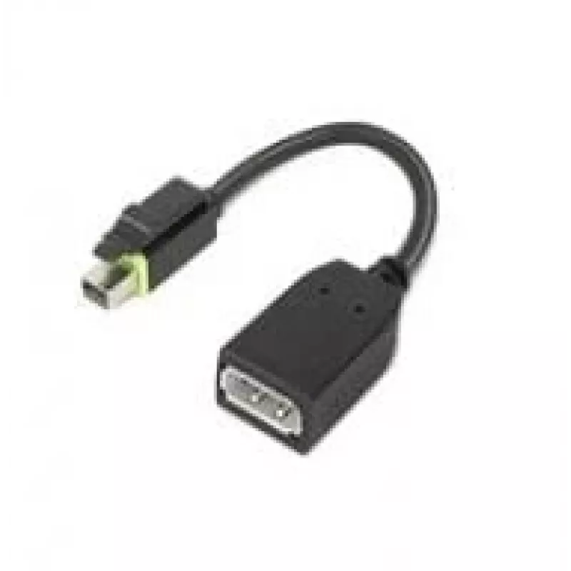 Lenovo 4X90Q93975 Videokabel-Adapter Mini DisplayPort DisplayPort Schwarz