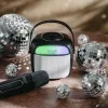 Adler AD 1199B Karaoke-Lautsprecher mit Mikrofon — Bluetooth, SD/USB/AUX, Schwarz