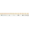 ABB Phasenschiene PSX3/24N FlexLine 3P+N 24Pins 12TE 10 mm² (2CDL230180R1024)