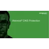 Webroot | DNS Protection mit GSM-Konsole | 1 Jahr(e) | Lizenzmenge 1-9 Benutzer