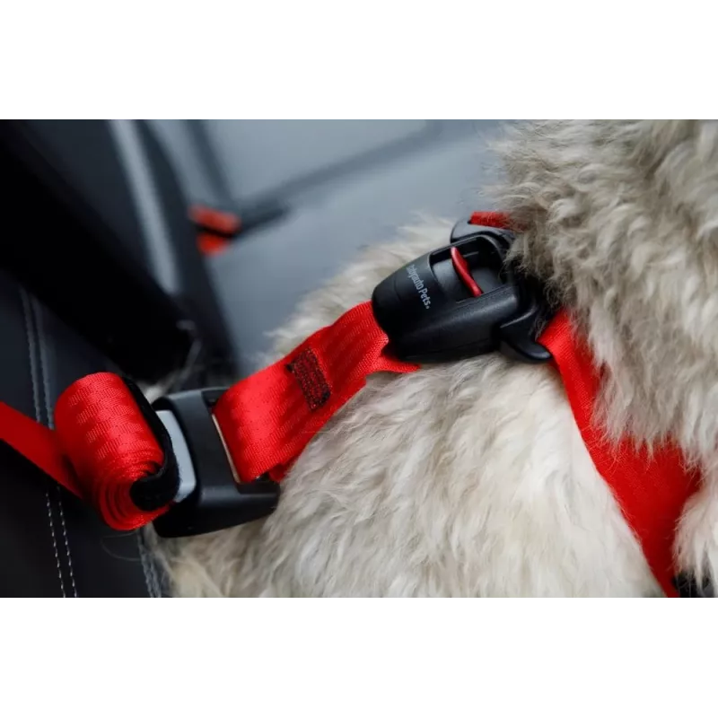 Hundegeschirr ZOLUX TRAVEL SAFE M, Größe M, rot