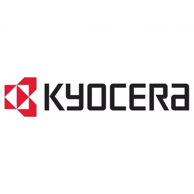 Niederspannungs-Einheit 230V Kyocera 302S094100 für Kyocera Drucker