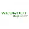 Webroot | DNS Protection mit GSM-Konsole | 1 Jahr(e) | Lizenzmenge 1-9 Benutzer